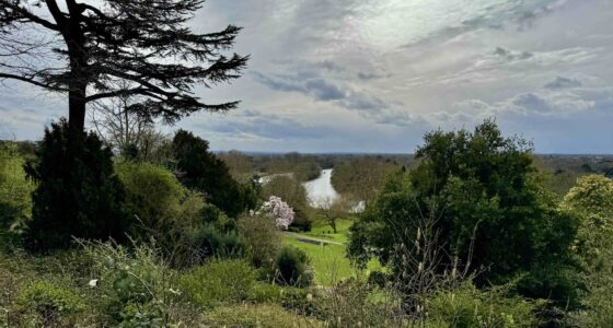 Richmond Upon Thames view photo by Bryan Dearsley