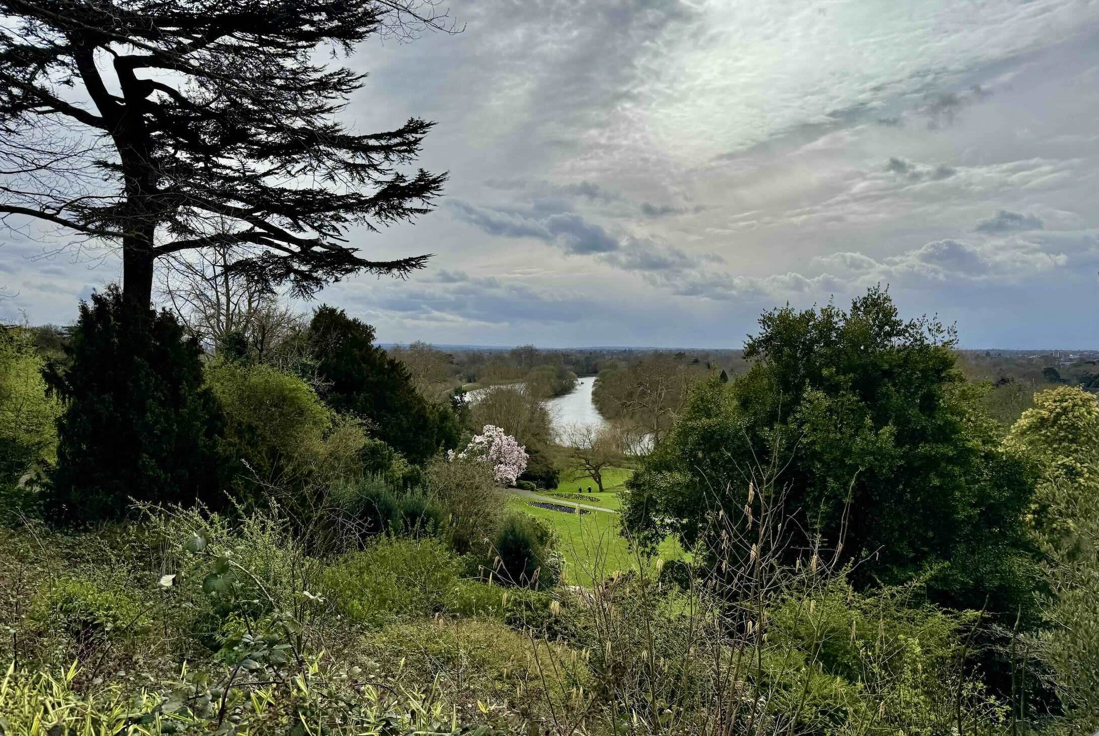 Richmond Upon Thames view photo by Bryan Dearsley